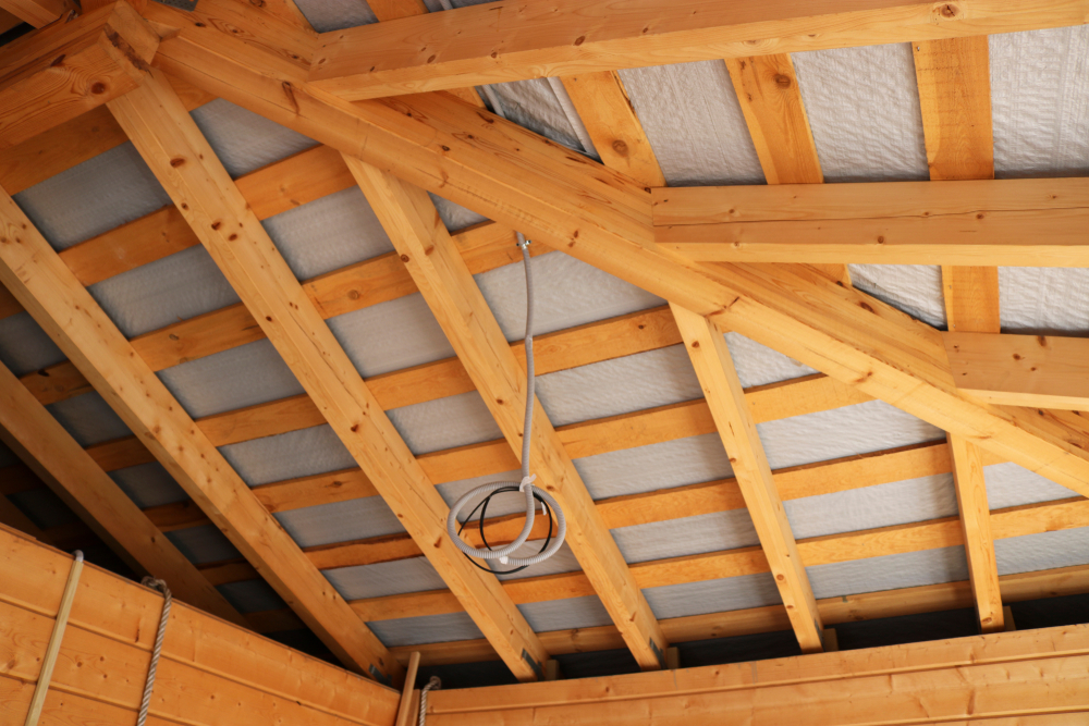 shutterstock 1583504809